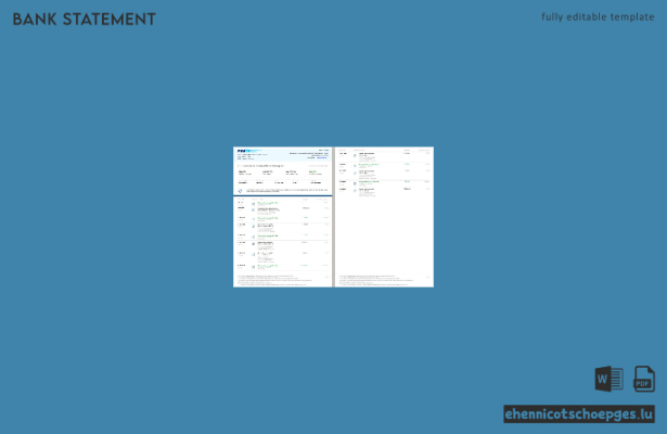 Kontoauszug von Paytm Payments (Indien), Word-Format, 2 Seiten, Version 2, Beispielvorschau